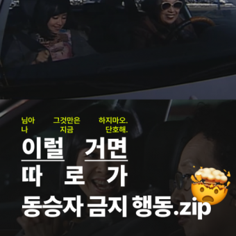 #6 달캠레터